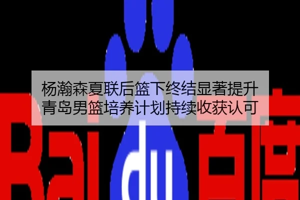 杨瀚森夏联后篮下终结显著提升 青岛男篮培养计划持续收获认可